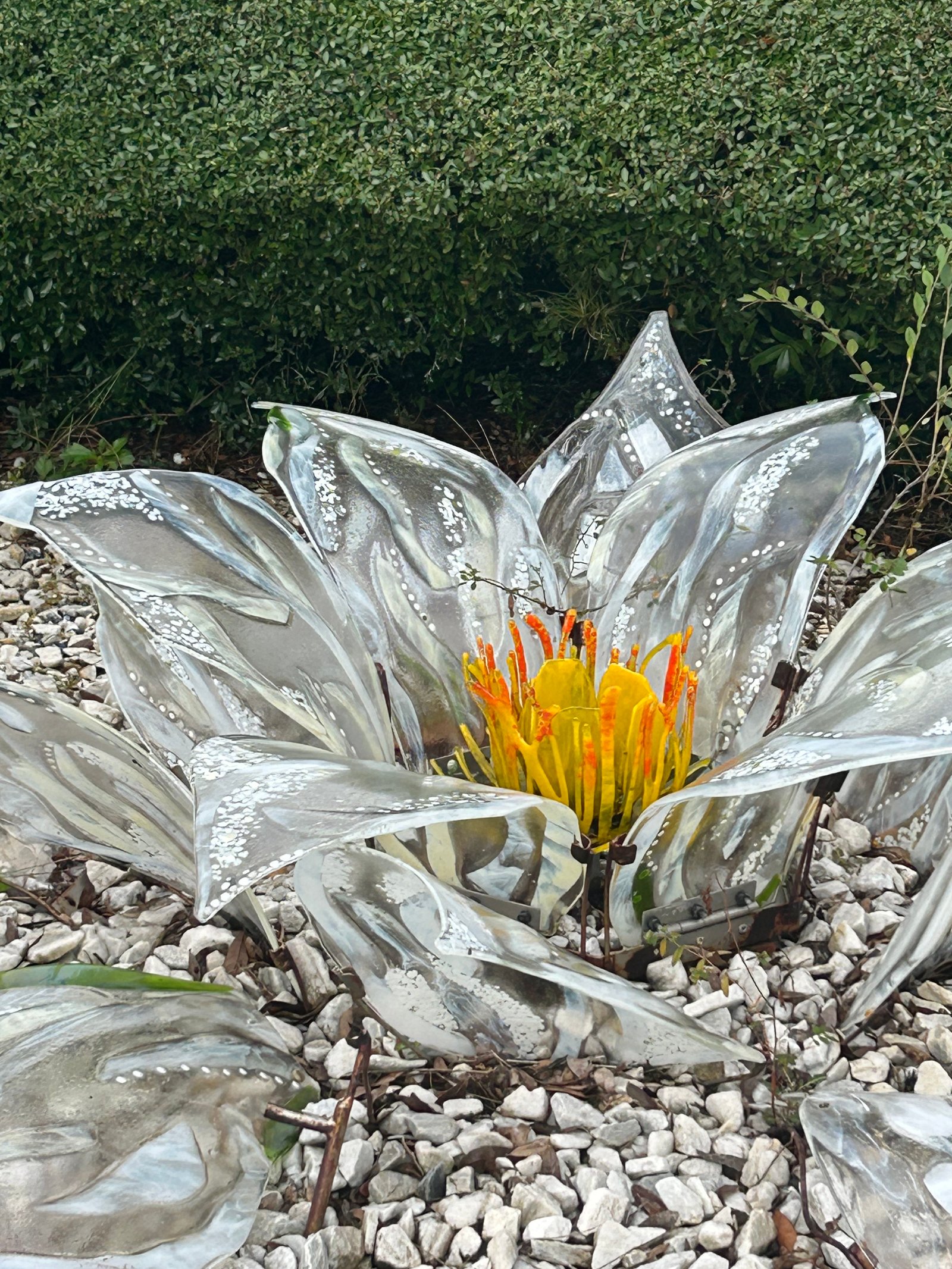 Carol Ann's fused glass