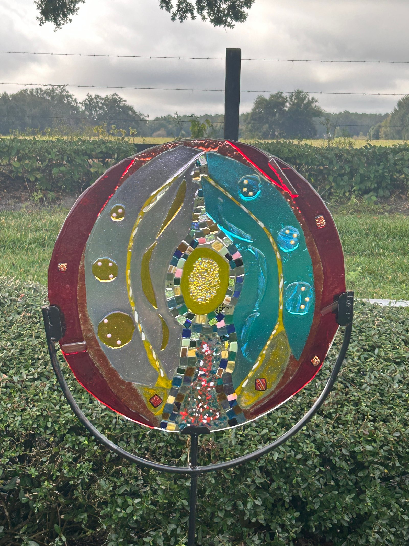 Carol Ann's fused glass